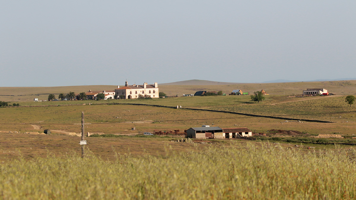 Llanos de Cáceres